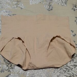 Asset By Spanx Seamless High-Waisted Nude Briefs 1X New